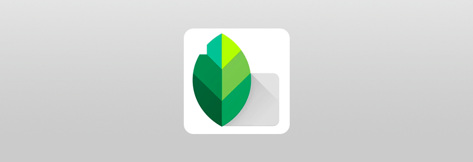 snapseed for computer mac